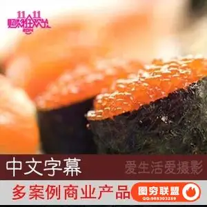 E290–多案例商业产品摄影布光教程中文字幕