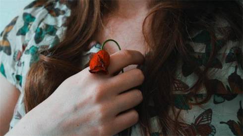 lr预设预设工厂好莱坞电影胶片预设The Preset Factory Cine Collection