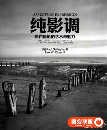 纯影调-黑白摄影的艺术与魅力