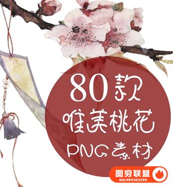 ps三生三世十里桃花png素材唯美桃花花瓣飘落影楼设计素材psd格式