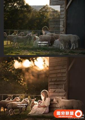 Lemmonmade摄影-Sujata Setia-婴儿睡觉编辑