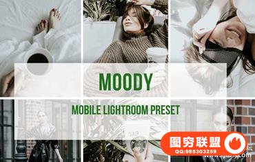 热带城市旅拍极简清爽人像风景Lightroom预设+手机版lr预设