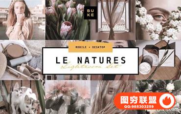 哑光柔和中性色调风景人像Lightroom预设+移动手机版APP滤镜