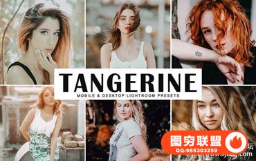 哑光金色调旅拍人像LR预设+移动APP预设 Tangerine Lightroom Presets