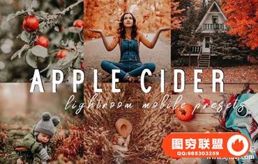 温暖琥珀秋季金色调人像Lightroom预设+手机版Lightroom APP预设