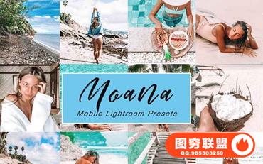 海滩旅拍清晰通透人像Lightroom预设+手机版lr预设