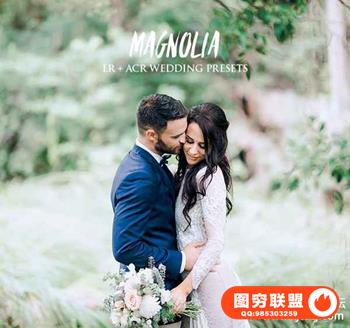 白玉兰富士400h婚礼胶片LR预设 AndrewSunColor Magnolia Lightroom