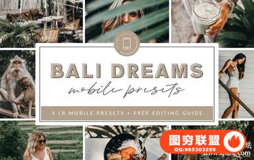 巴厘岛旅拍胶片Lightroom预设+手机版预设 Bali Lightroom MOBILE