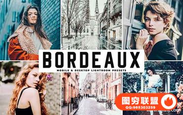 Bordeaux旅拍人像对比度调色彩整增强Lightroom预设+手机APP滤镜