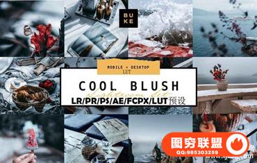 INS风霸气中性灰冷色系Lightroom预设/手机APP/PR/PS/AE/FCPX/LUT滤镜