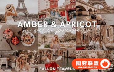 Instagram网红博主中性旅拍人像胶片Lightroom预设+Lightroom APP预设