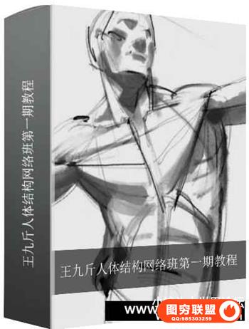 王九斤人体结构网络班第一期教程