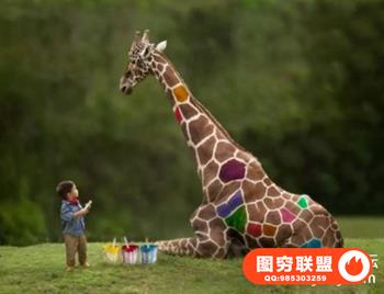 摄影师释放复合材料合成-长颈鹿拼图画Photographers Unleashed Composite