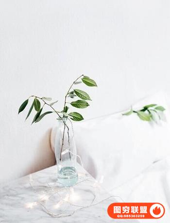 IPS Mastermind-出售隐形产品