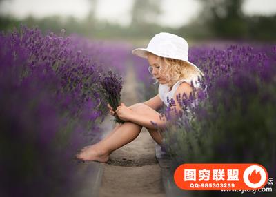 Daniel Venter后处理视频 - 薰衣草