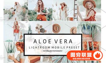 梦幻柔和奶油色调手机版Mobile Lightroom预设Mobile Presets ALOE VERA