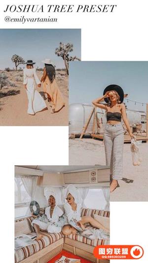 时尚摄影博主Emily Vartanian约书亚树胶片LR预设 Joshua Tree Preset