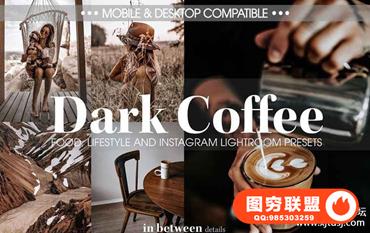 INS流行风格焦糖黑咖啡色调人像Lightroom预设+手机版LR预设