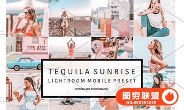 INS风旅拍人像暖色调Lightroom预设+手机版LR预设 Mobile Presets