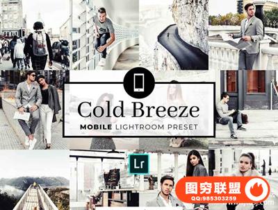 Insta流行风格中性灰冷色调Lightroom预设+手机版LR预设