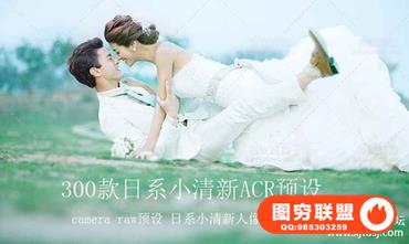 300款日系小清新韩系人像ACR预设-camera raw预设