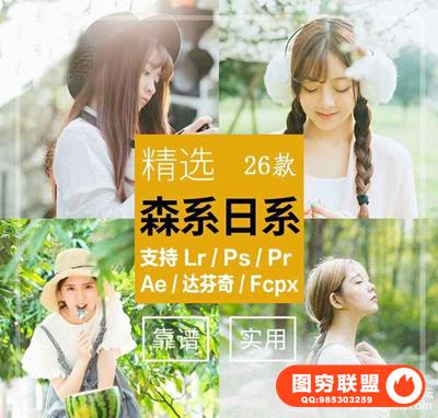 LR预设清新日系森系调色滤镜PR/PS/FCPX/达芬奇/AE/LUT预设