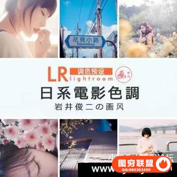 日系岩井俊二画风格/日系胶片电影文艺Lightroom预设
