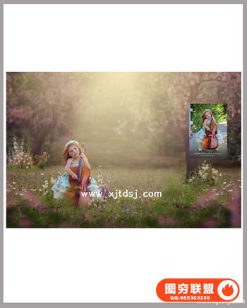 摄影师释放复合 - 甜美的夏季大提琴