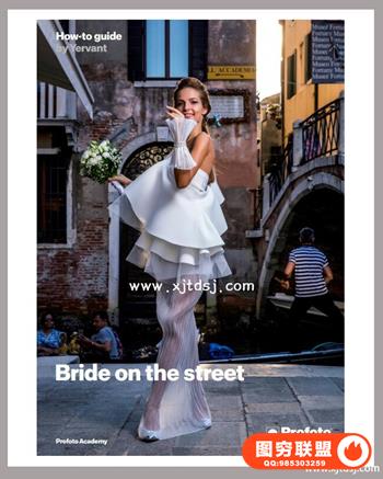 Profoto -婚礼摄影系列 Wedding Portraits SeriesBeauty