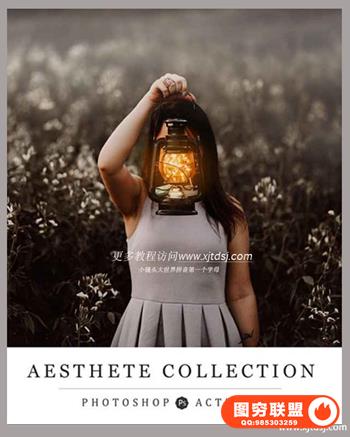 Aesthete Collection PS Actions人像摄影后期朦胧阴霾效果PS动作