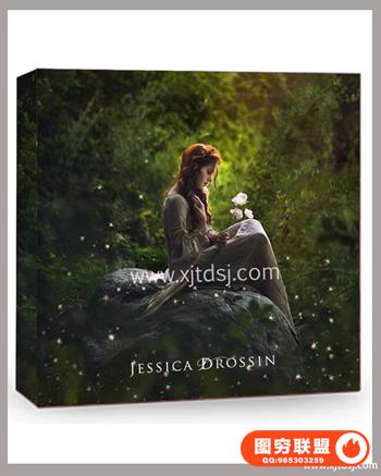 Special Effects - Glitter星光覆盖素材设计附带动作和视频