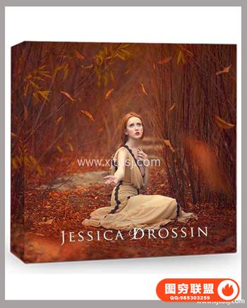 Special Effects--50个秋季落叶飘叶素材PSD格式附视频