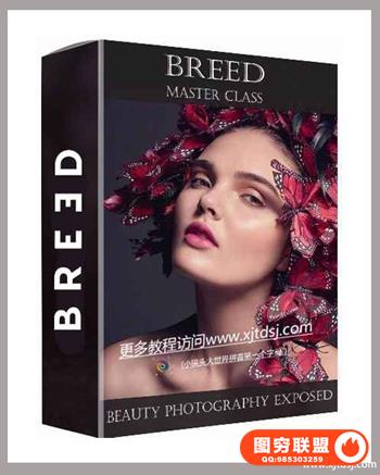 BREED--商业时尚摄影布光摄影和后期精修附带素材5.89GB