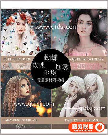 Amanda Diaz-烟雾|玫瑰|尘埃|蝴蝶4套后期修图覆盖叠加素材附视频