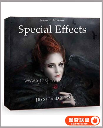 Special Effects--30个鸟覆盖和15个暗黑纹理素材设计附带视频