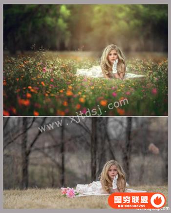 Lisset Perrier摄影 - 冬季到春季艺术编辑