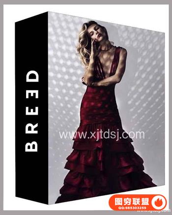 Breed - Fashion Photography: Working with Models人像摄影