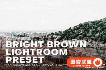 旅拍城市风景棕色调Lightroom预设›Bright and Brown Lightroom Preset