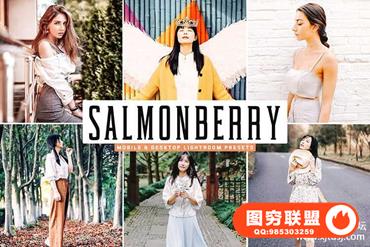旅拍温暖奶油人像LR预设+移动APP预设Salmonberry Lightroom Presets