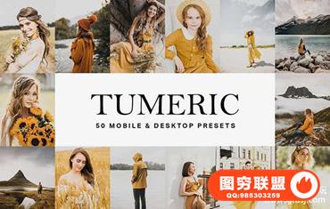 姜黄调胶片LR预设/旅拍视频LUT预设 Tumeric Yellow Lightroom Presets