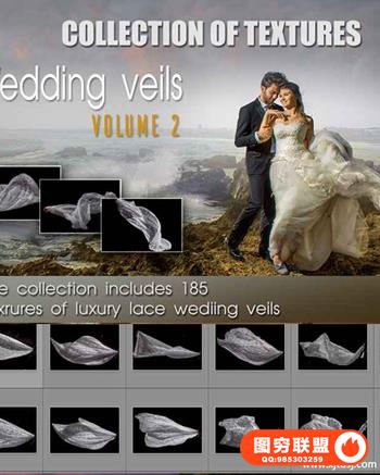 Dmitry Usanin -185个婚纱后期修饰裙摆图层覆盖设计素材
