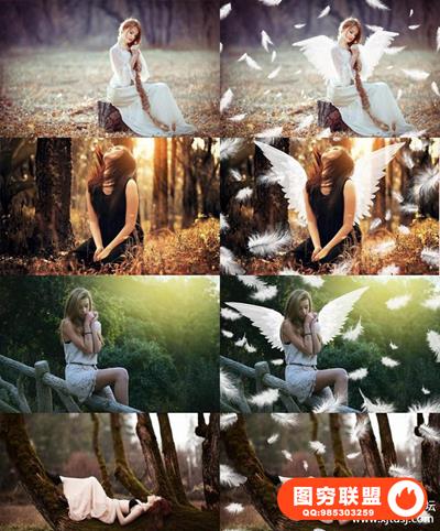 30张高清唯美翅膀羽毛飞舞叠加合成素材 30 Feather Overlays