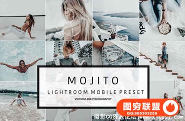 旅行博客摄影师不饱和褪色高光手机版lr预设 Mobile Lightroom
