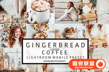 冬季圣诞手机版Lightroom预设 Mobile Lightroom Preset
