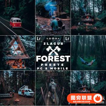 旅拍森系人文胶片LR预设/手机修图LR预设Forest Moody-Travel Presets
