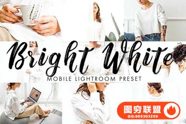 家居生活通透明亮LR预设+手机LR预设 Bright White Lightroom Presets