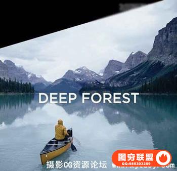 飞思Capture One样式 旅行森系冷色调Capture One预设 Deep Forest