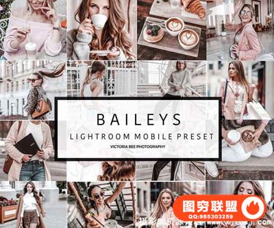 Victoria Bee 网红博客奶油胶片色调手机版LR预设 Mobile Lightroom