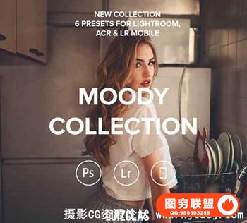 葡萄牙摄影师Luizclas穆迪人像lr预设Moody Lightroom.ACR.Mobile Presets