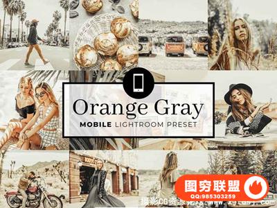 万能经典橙灰色系中性灰LR预设+移动版LR预设 Mobile Lightroom
